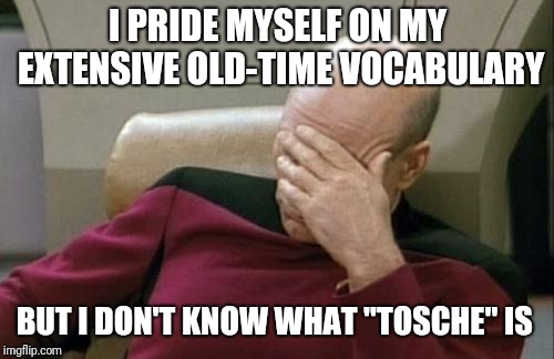 Captain Picard Facepalm Meme | I PRIDE MYSELF ON MY EXTENSIVE OLD-TIME VOCABULARY BUT I DON'T KNOW WHAT "TOSCHE" IS | image tagged in memes,captain picard facepalm | made w/ Imgflip meme maker
