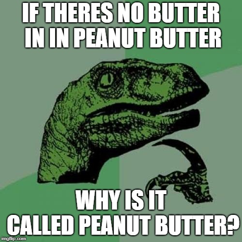 Philosoraptor | IF THERES NO BUTTER IN IN PEANUT BUTTER; WHY IS IT CALLED PEANUT BUTTER? | image tagged in memes,philosoraptor | made w/ Imgflip meme maker