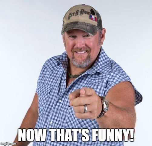 Larry the Cable Guy | NOW THAT'S FUNNY! | image tagged in larry the cable guy | made w/ Imgflip meme maker