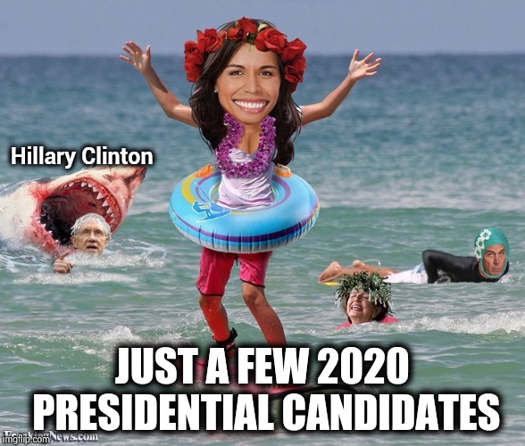 Serious about running for President | Hillary Clinton; JUST A FEW 2020 PRESIDENTIAL CANDIDATES | image tagged in presidential candidates,no way,awkward party,hawaii,shark | made w/ Imgflip meme maker