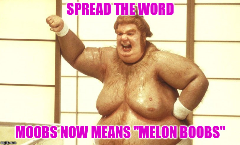 Man Boobs | SPREAD THE WORD MOOBS NOW MEANS "MELON BOOBS" | image tagged in man boobs | made w/ Imgflip meme maker