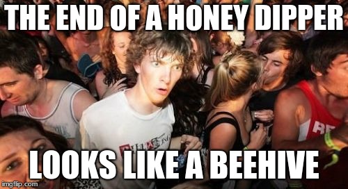 How many of you never noticed that? | THE END OF A HONEY DIPPER; LOOKS LIKE A BEEHIVE | image tagged in memes,sudden clarity clarence,honey,honey dipper,mind blown,omfg | made w/ Imgflip meme maker