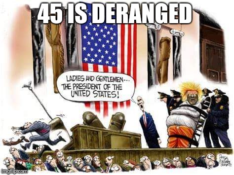 Memes | 45 IS DERANGED | image tagged in donald trump | made w/ Imgflip meme maker