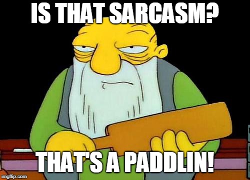 That's a paddlin' Meme | IS THAT SARCASM? THAT'S A PADDLIN! | image tagged in memes,that's a paddlin' | made w/ Imgflip meme maker