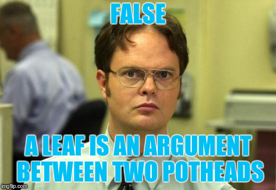 Dwight Schrute Meme | FALSE A LEAF IS AN ARGUMENT BETWEEN TWO POTHEADS | image tagged in memes,dwight schrute | made w/ Imgflip meme maker