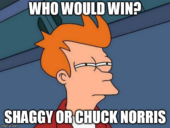 Futurama Fry | WHO WOULD WIN? SHAGGY OR CHUCK NORRIS | image tagged in memes,futurama fry | made w/ Imgflip meme maker