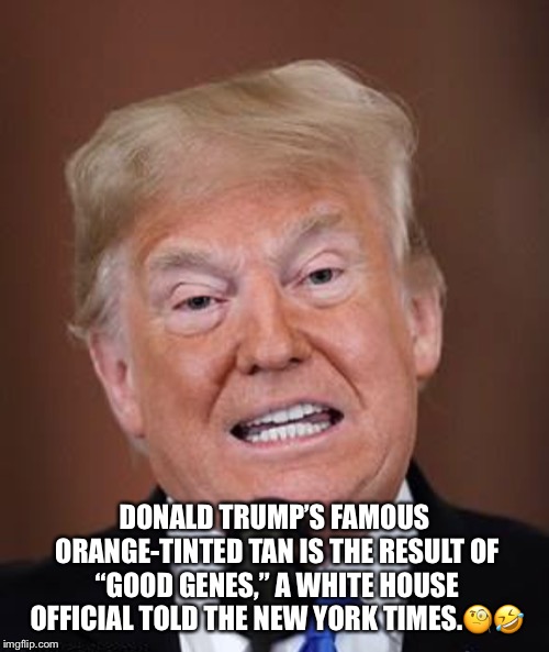 Donald Trump’s famous orange-tinted tan. | DONALD TRUMP’S FAMOUS ORANGE-TINTED TAN IS THE RESULT OF “GOOD GENES,” A WHITE HOUSE OFFICIAL TOLD THE NEW YORK TIMES.🧐🤣 | image tagged in donald trump,orange tan,lol,agent orange,roflmao | made w/ Imgflip meme maker