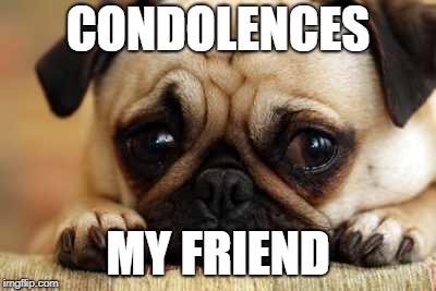 CONDOLENCES MY FRIEND | image tagged in sad dog | made w/ Imgflip meme maker