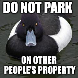 Angry Advice Mallard | DO NOT PARK; ON OTHER PEOPLE’S PROPERTY | image tagged in angry advice mallard,AdviceAnimals | made w/ Imgflip meme maker