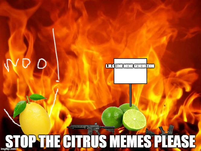 limes are taking over memes | L.M.G LIME MEME GENERATION; STOP THE CITRUS MEMES PLEASE | image tagged in lime,lemons,article 13,maybe il be tracer | made w/ Imgflip meme maker