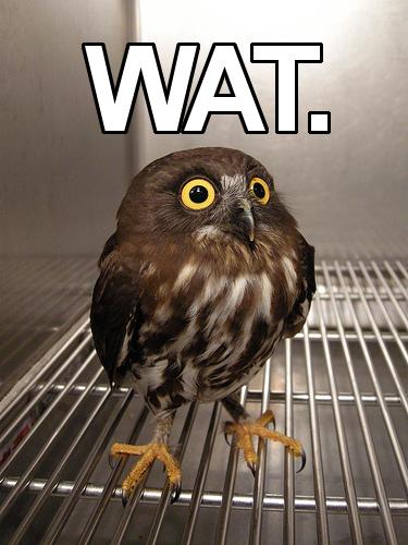 image tagged in funny