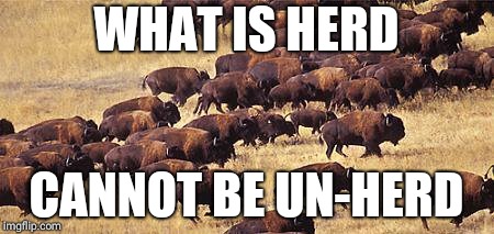 Herd | WHAT IS HERD; CANNOT BE UN-HERD | image tagged in herd | made w/ Imgflip meme maker