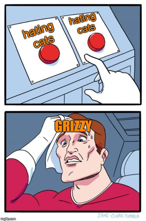 Two Buttons | hating cats; hating cats; GRIZZY | image tagged in memes,two buttons | made w/ Imgflip meme maker