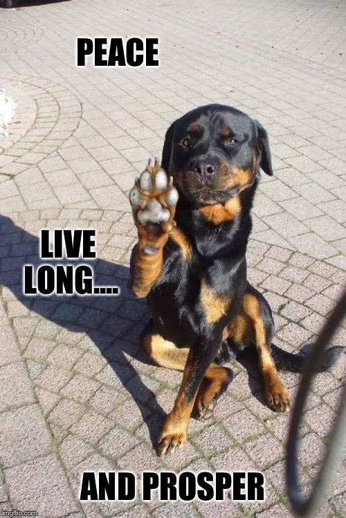 Vulcan Dog |  PEACE; LIVE LONG.... AND PROSPER | image tagged in paw,dog,peace,live long and prosper | made w/ Imgflip meme maker