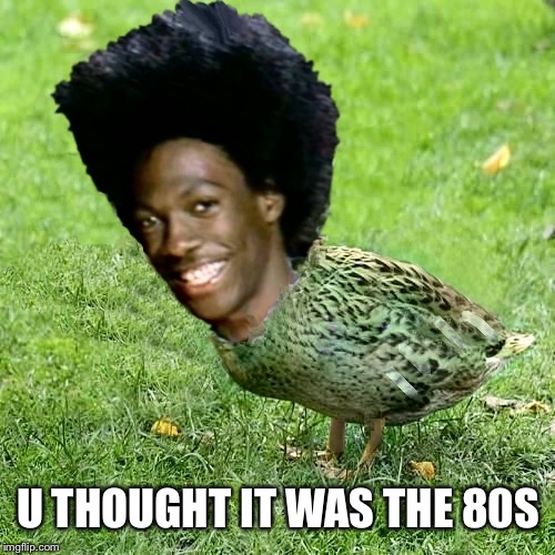 DuckWheat | U THOUGHT IT WAS THE 80S | image tagged in duckwheat | made w/ Imgflip meme maker