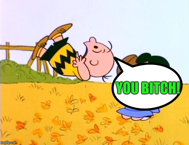 Charlie Brown Football | YOU B**CH! | image tagged in charlie brown football | made w/ Imgflip meme maker
