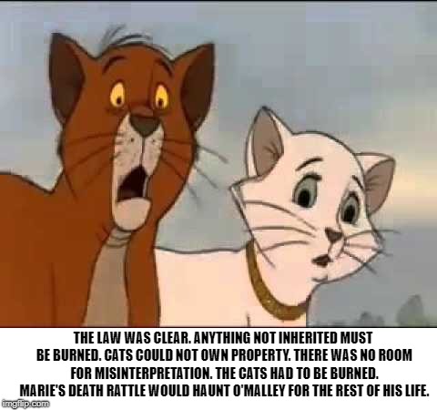 Schrodinger's Aristocat | THE LAW WAS CLEAR. ANYTHING NOT INHERITED MUST BE BURNED. CATS COULD NOT OWN PROPERTY. THERE WAS NO ROOM FOR MISINTERPRETATION. THE CATS HAD TO BE BURNED. MARIE'S DEATH RATTLE WOULD HAUNT O'MALLEY FOR THE REST OF HIS LIFE. | image tagged in aristocats,morbid,death | made w/ Imgflip meme maker