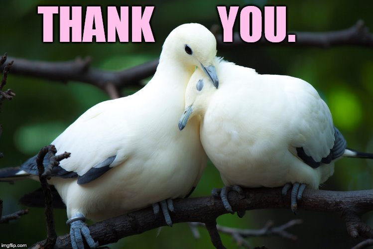 THANK        YOU. | made w/ Imgflip meme maker