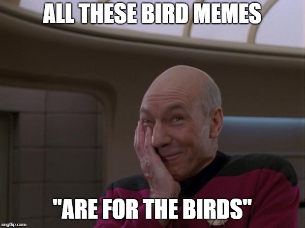 Stupid Joke Picard | ALL THESE BIRD MEMES; "ARE FOR THE BIRDS" | image tagged in stupid joke picard | made w/ Imgflip meme maker