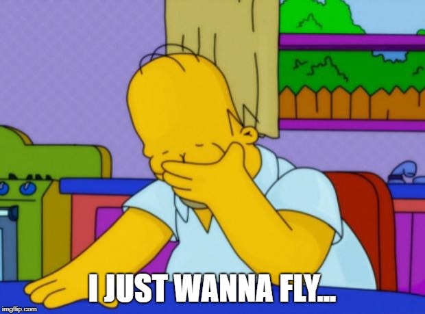 Homer Simpson | I JUST WANNA FLY... | image tagged in homer simpson | made w/ Imgflip meme maker