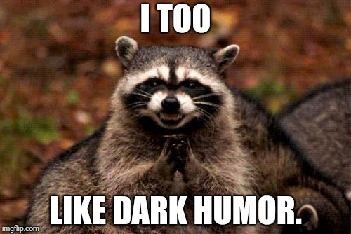 Evil Plotting Raccoon Meme | I TOO LIKE DARK HUMOR. | image tagged in memes,evil plotting raccoon | made w/ Imgflip meme maker