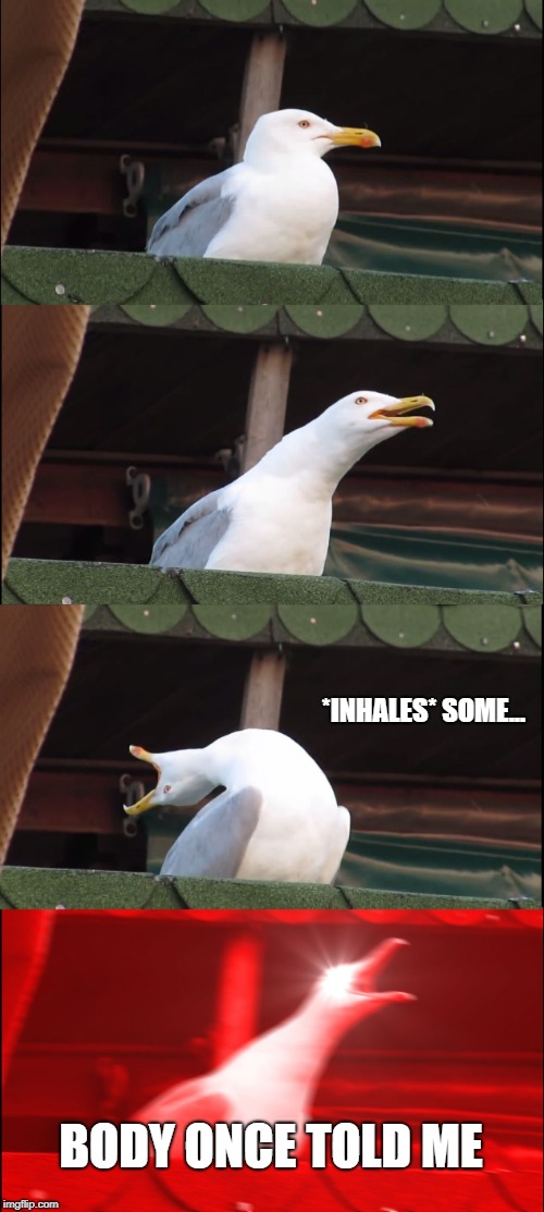 so im finally doing something for bird week... | *INHALES* SOME... BODY ONCE TOLD ME | image tagged in memes,inhaling seagull,bird week | made w/ Imgflip meme maker
