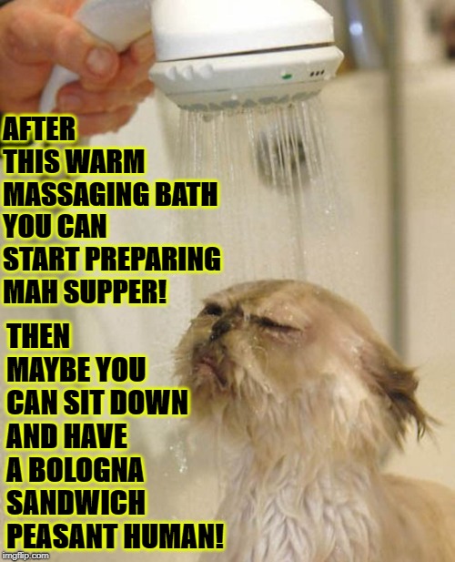 AFTER THIS WARM MASSAGING BATH YOU CAN START PREPARING MAH SUPPER! THEN MAYBE YOU CAN SIT DOWN AND HAVE A BOLOGNA SANDWICH PEASANT HUMAN! | image tagged in royal prick | made w/ Imgflip meme maker