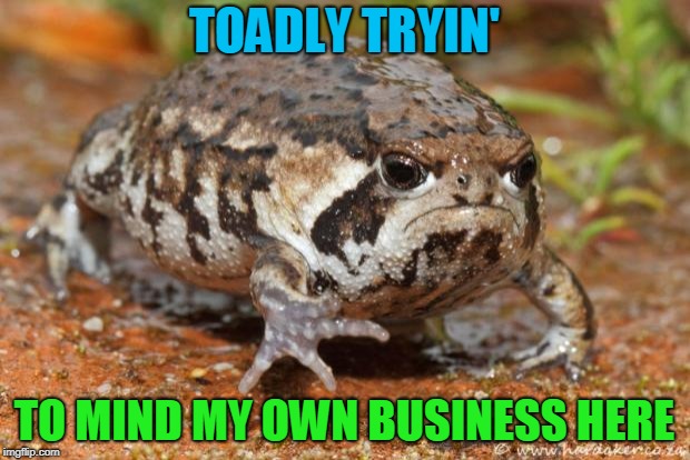 Grumpy Toad |  TOADLY TRYIN'; TO MIND MY OWN BUSINESS HERE | image tagged in memes,grumpy toad | made w/ Imgflip meme maker