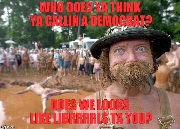 WHO DOES YA THINK YA CALLIN A DEMOCRAT? DOES WE LOOKS LIKE LIBRRRRLS TA YOU? | made w/ Imgflip meme maker