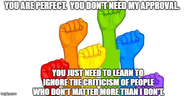 lgbt  | YOU ARE PERFECT.  YOU DON'T NEED MY APPROVAL. YOU JUST NEED TO LEARN TO IGNORE THE CRITICISM OF PEOPLE WHO DON'T MATTER MORE THAN I DON'T. | image tagged in lgbt | made w/ Imgflip meme maker