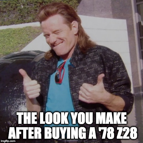 Mulletcranston | THE LOOK YOU MAKE AFTER BUYING A '78 Z28 | image tagged in mulletcranston | made w/ Imgflip meme maker