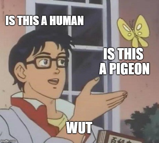 Is This A Pigeon Meme | IS THIS A HUMAN; IS THIS A PIGEON; WUT | image tagged in memes,is this a pigeon | made w/ Imgflip meme maker