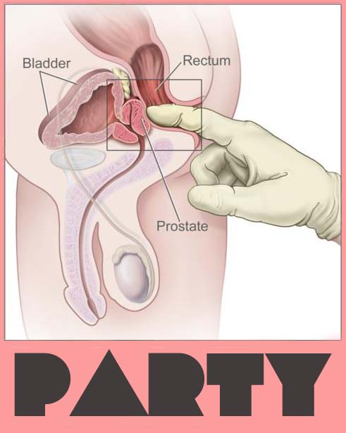 anal fingering Blank Meme Template