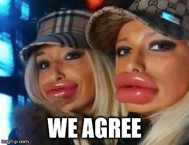 Duck Face Chicks Meme | WE AGREE | image tagged in memes,duck face chicks | made w/ Imgflip meme maker