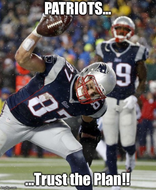 PATRIOTS-CELEBRATE | PATRIOTS... ...Trust the Plan!! | image tagged in patriots-celebrate | made w/ Imgflip meme maker