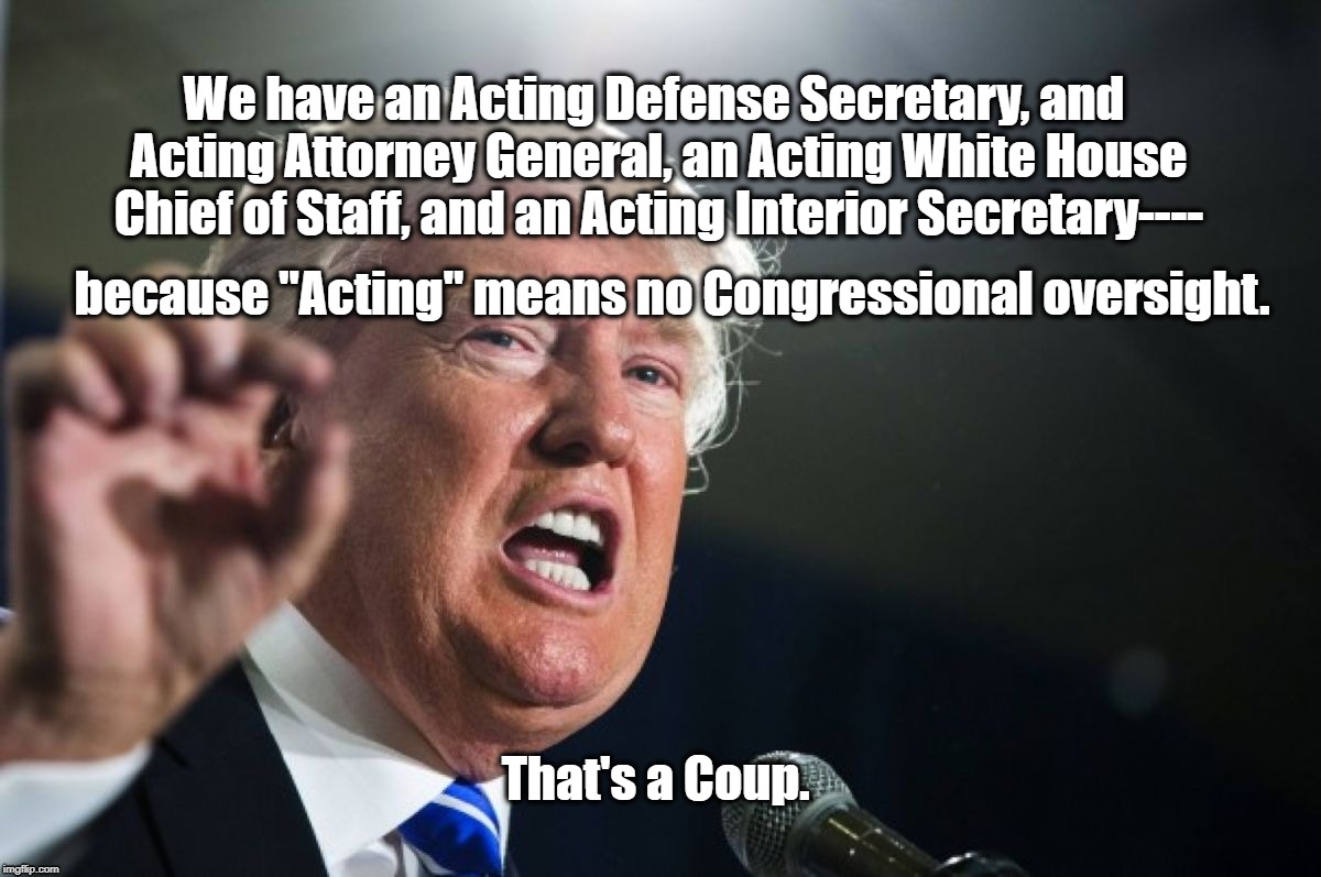 donald trump | We have an Acting Defense Secretary, and Acting Attorney General, an Acting White House Chief of Staff, and an Acting Interior Secretary----; because "Acting" means no Congressional oversight. That's a Coup. | image tagged in donald trump | made w/ Imgflip meme maker