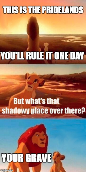 Simba Shadowy Place | THIS IS THE PRIDELANDS; YOU'LL RULE IT ONE DAY; YOUR GRAVE | image tagged in memes,simba shadowy place | made w/ Imgflip meme maker