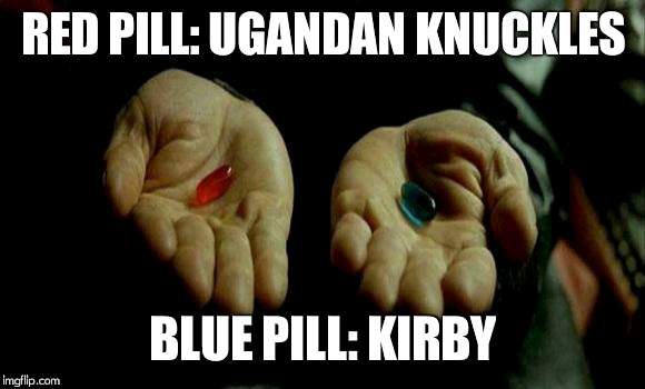 Matrix Pills | RED PILL: UGANDAN KNUCKLES; BLUE PILL: KIRBY | image tagged in matrix pills | made w/ Imgflip meme maker