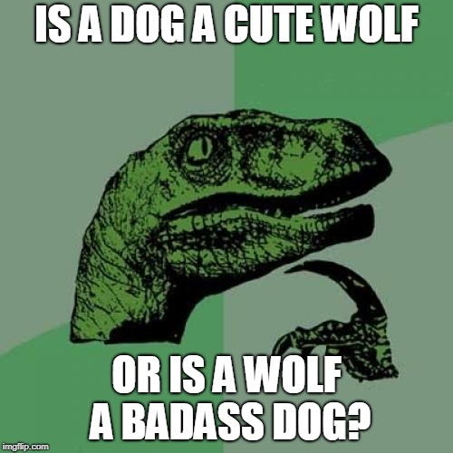 Philosoraptor | IS A DOG A CUTE WOLF; OR IS A WOLF A BADASS DOG? | image tagged in memes,philosoraptor | made w/ Imgflip meme maker