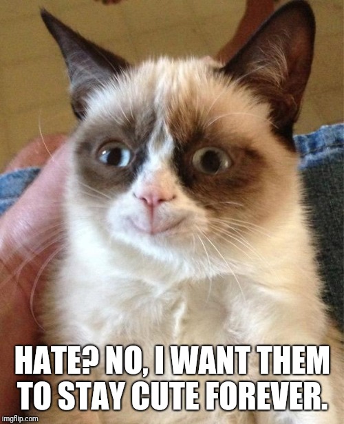 Grumpy Cat Happy Meme | HATE? NO, I WANT THEM TO STAY CUTE FOREVER. | image tagged in memes,grumpy cat happy,grumpy cat | made w/ Imgflip meme maker