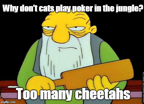 Cats play | Why don’t cats play poker in the jungle? Too many cheetahs | image tagged in cats | made w/ Imgflip meme maker