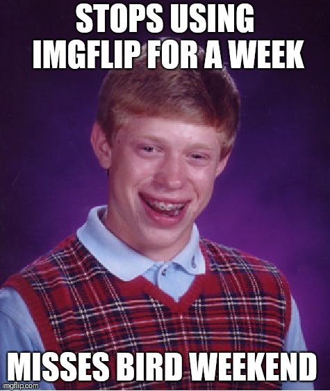 So when's the next one | STOPS USING IMGFLIP FOR A WEEK; MISSES BIRD WEEKEND | image tagged in memes,bad luck brian | made w/ Imgflip meme maker