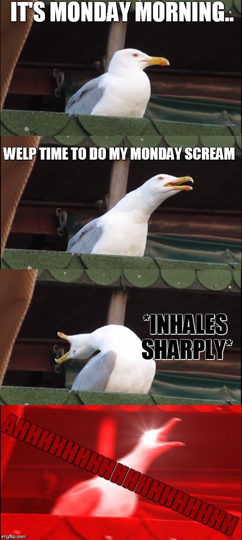 Inhaling Seagull Meme | IT'S MONDAY MORNING.. WELP TIME TO DO MY MONDAY SCREAM; *INHALES SHARPLY*; AHHHHHHHHHHHHHHHHHH | image tagged in memes,inhaling seagull | made w/ Imgflip meme maker
