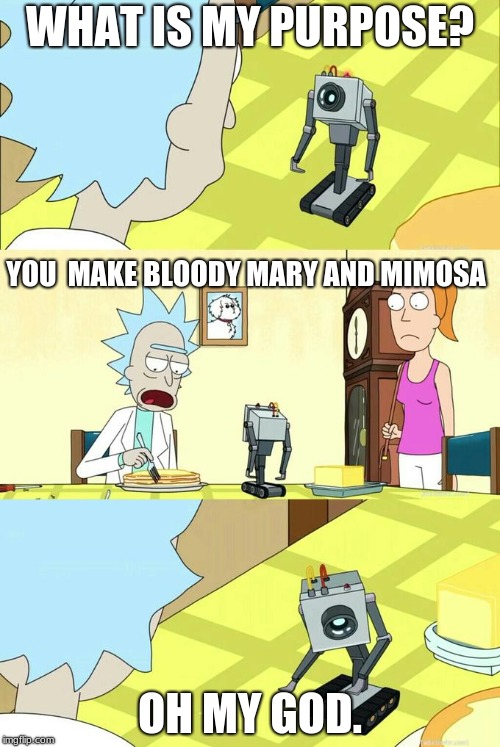 What's My Purpose - Butter Robot | WHAT IS MY PURPOSE? YOU  MAKE BLOODY MARY AND MIMOSA; OH MY GOD. | image tagged in what's my purpose - butter robot | made w/ Imgflip meme maker