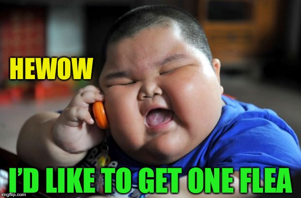 fat chinese kid | HEWOW I’D LIKE TO GET ONE FLEA | image tagged in fat chinese kid | made w/ Imgflip meme maker