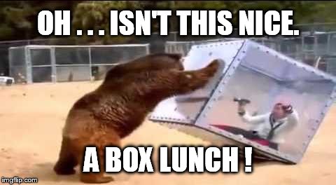 I just love getting special treats. | OH . . . ISN'T THIS NICE. A BOX LUNCH ! | image tagged in lunch time | made w/ Imgflip meme maker