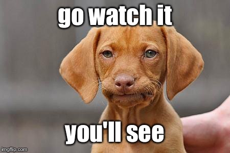 Dissapointed puppy | go watch it you'll see | image tagged in dissapointed puppy | made w/ Imgflip meme maker