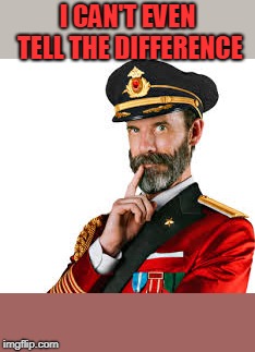 Hmm Captain Obvious  | I CAN'T EVEN TELL THE DIFFERENCE | image tagged in hmm captain obvious | made w/ Imgflip meme maker