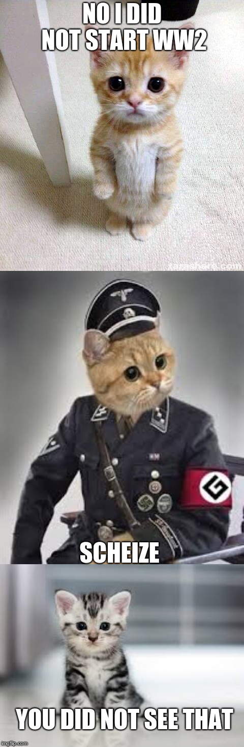 cute adolf | NO I DID NOT START WW2; SCHEIZE; YOU DID NOT SEE THAT | image tagged in memes,cute cat,cats,funny,ww2,politics | made w/ Imgflip meme maker