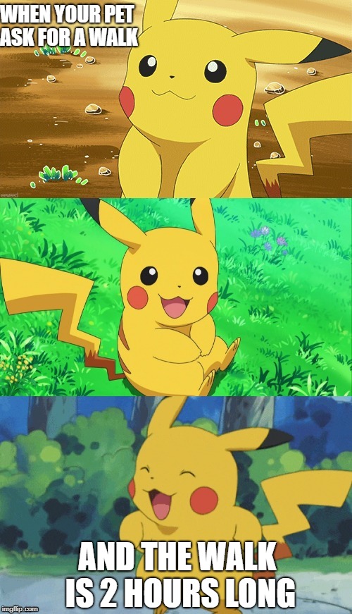 Bad Pun Pikachu | WHEN YOUR PET ASK FOR A WALK; AND THE WALK IS 2 HOURS LONG | image tagged in bad pun pikachu | made w/ Imgflip meme maker